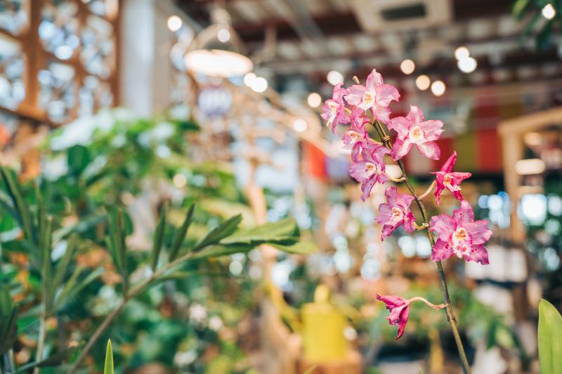 花屋 転職エージェント イメージ