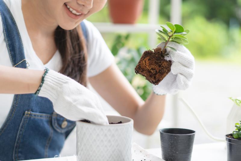 花屋 フリーランス イメージ